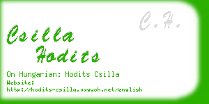 csilla hodits business card